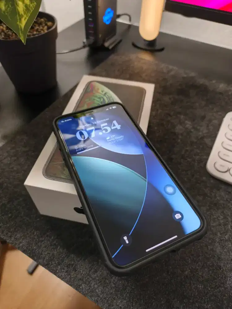 iPhone Xs Max 512GB Dual Sim 100% Normal