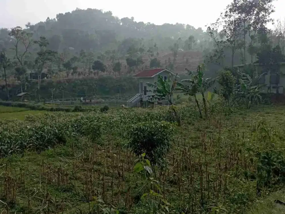 JUAL CEPAT TANAH MURAH ARJASARI BANDUNG SELATAN