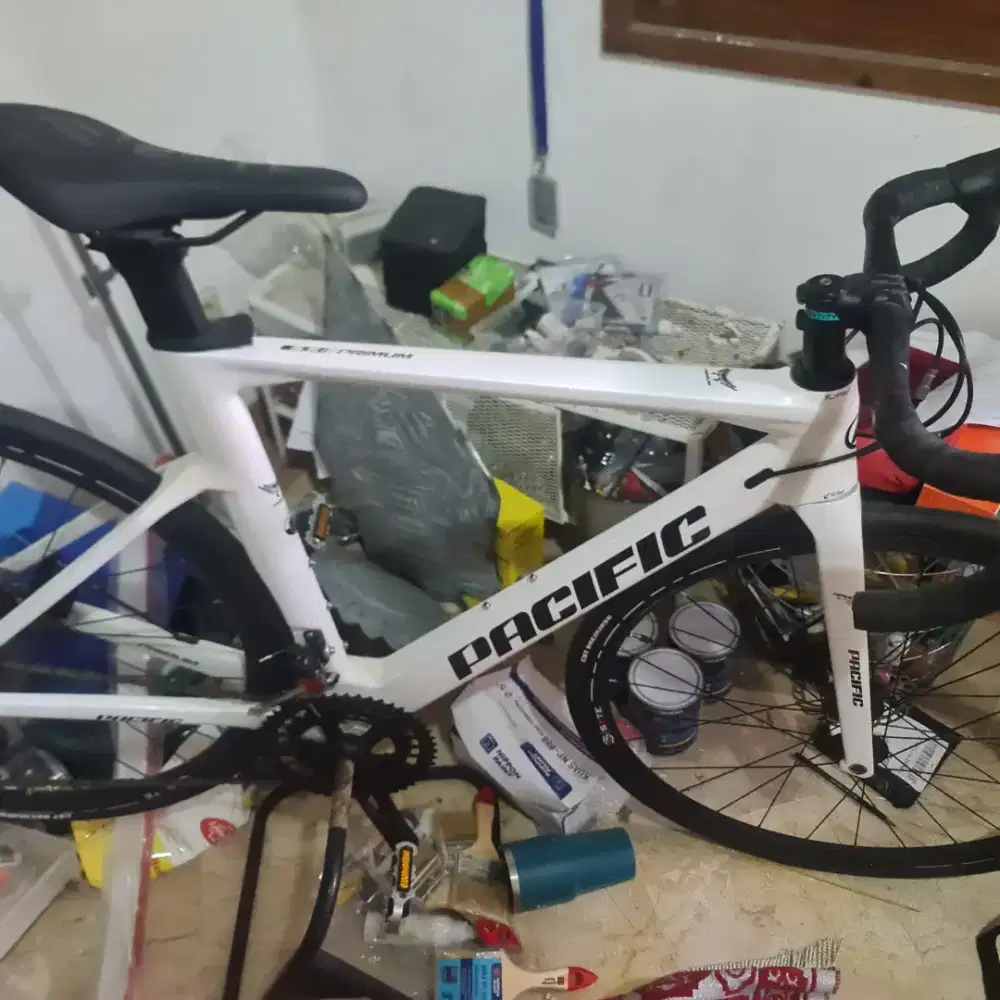 Raodbike Carbon Pacific Primum 5.5