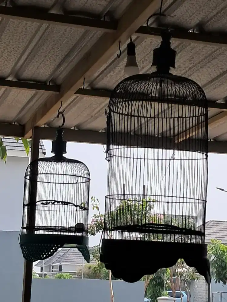 Kandang burung bekas