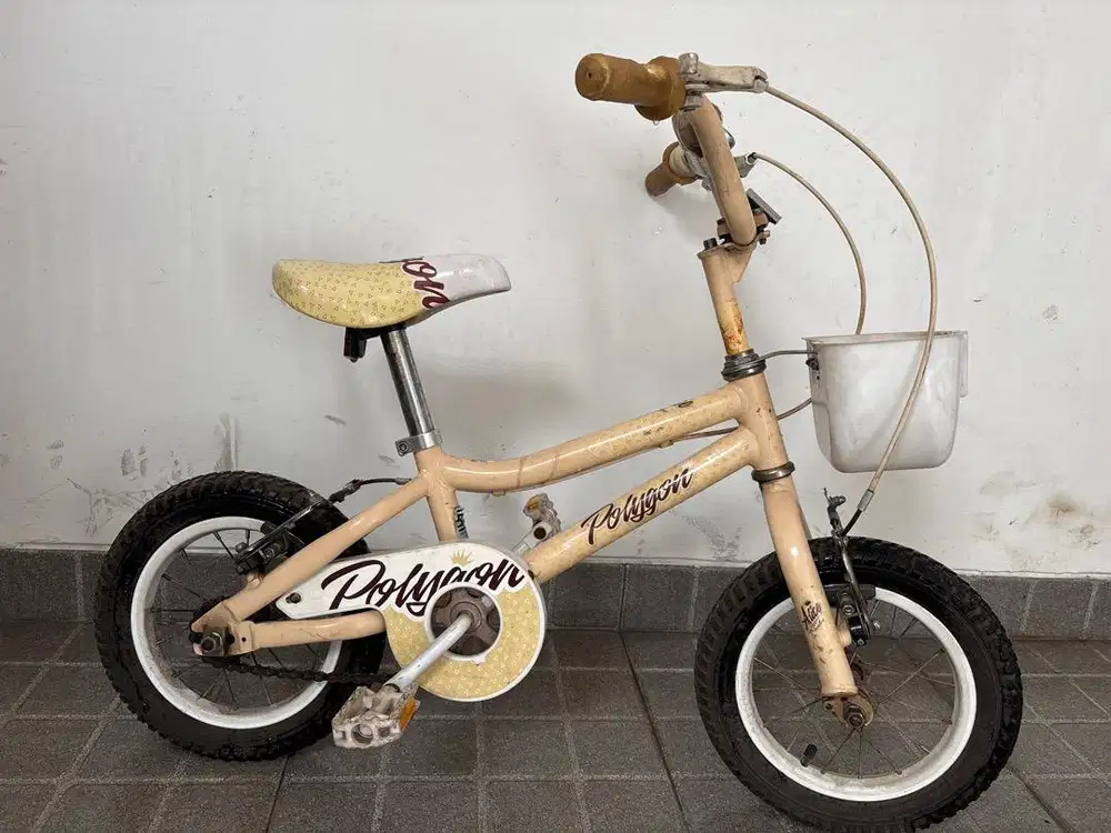 Sepeda anak polygon