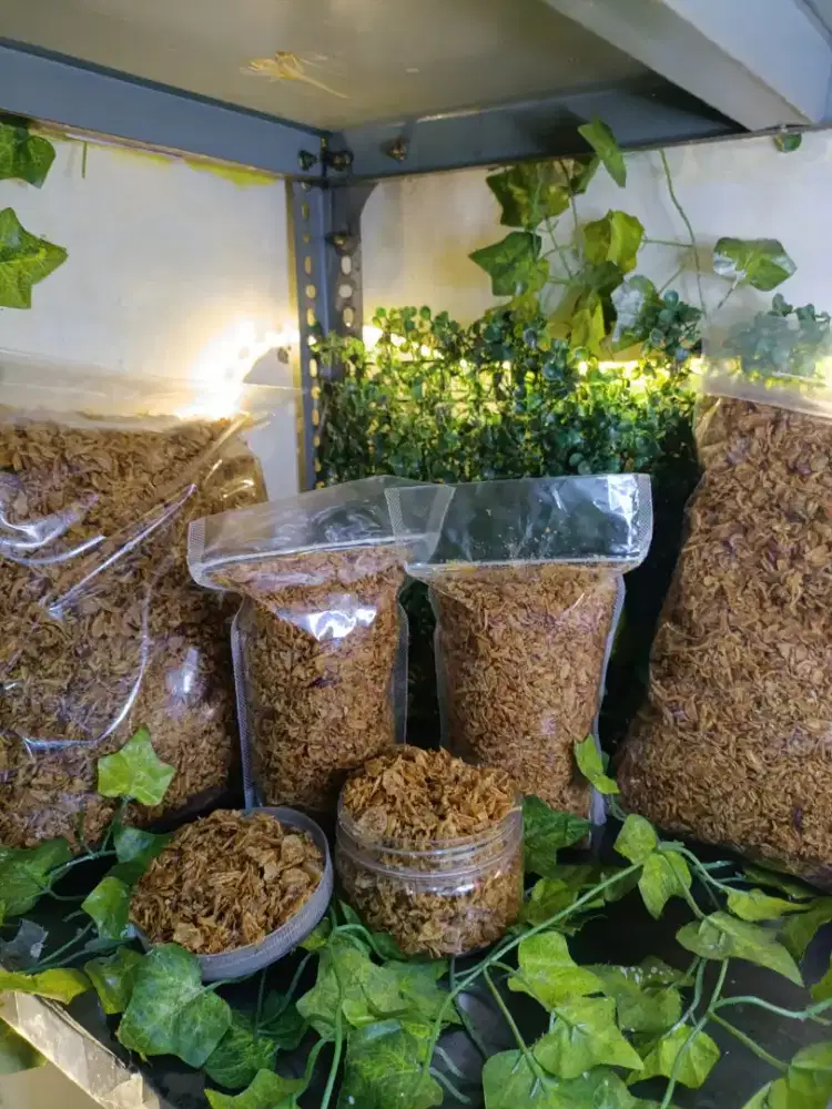 BAWANG GORENG PREMIUM 1KG ASLII TANPA CAMPURAN 100%