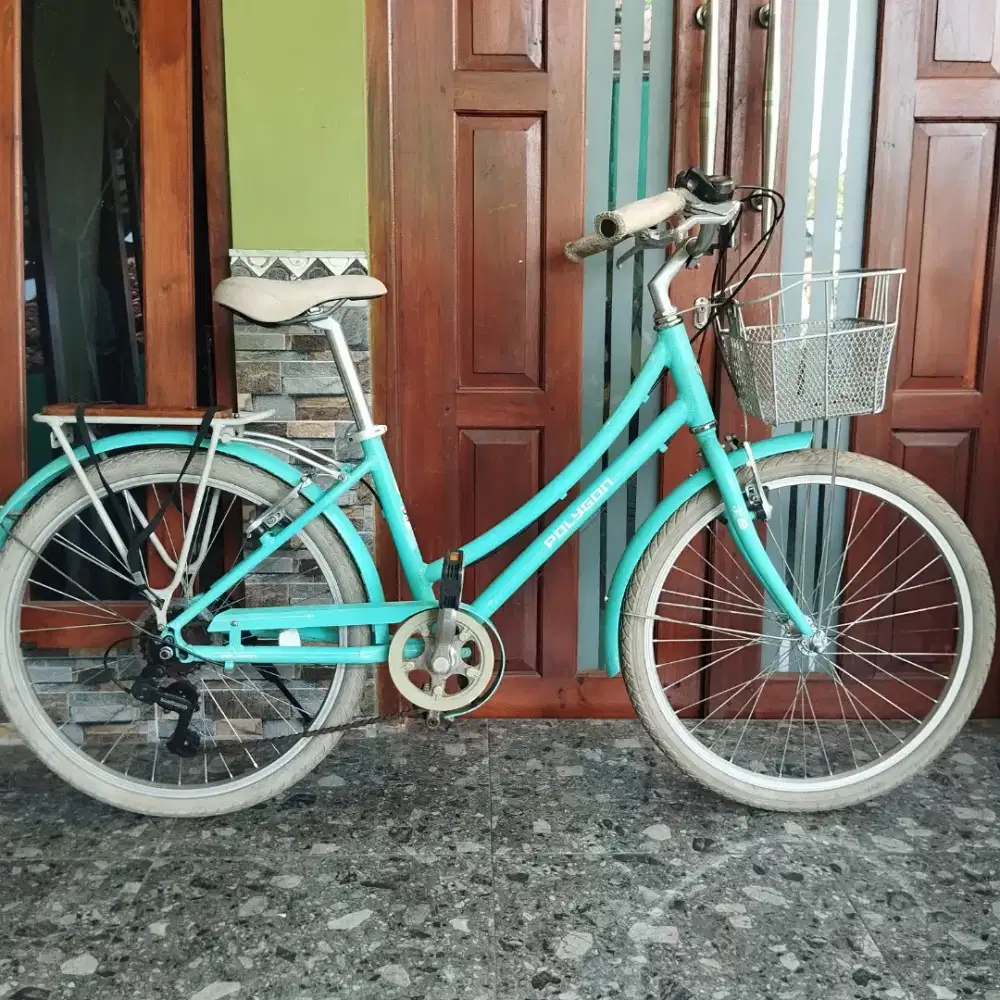 Polygon sierra ax 24