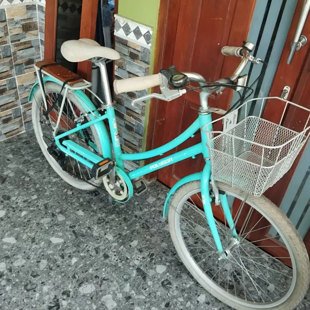 Polygon sierra ax 24 mulus