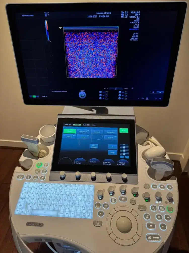 GE VOLUSON 4D ULTRASOUND E6 BT16 2016 3 PROBES HDLIVE
P
purdz01 (269)