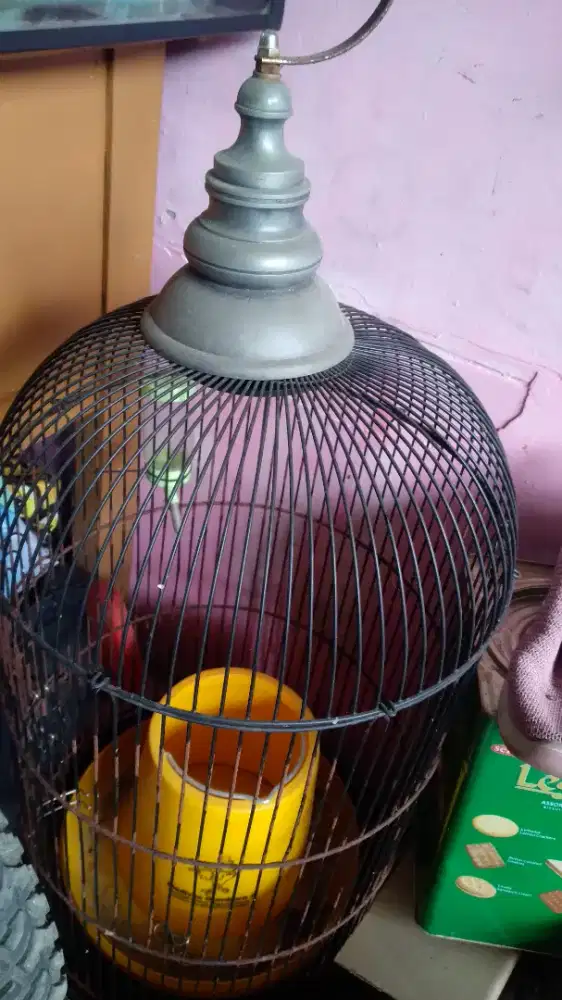 Kandang burung besi besar