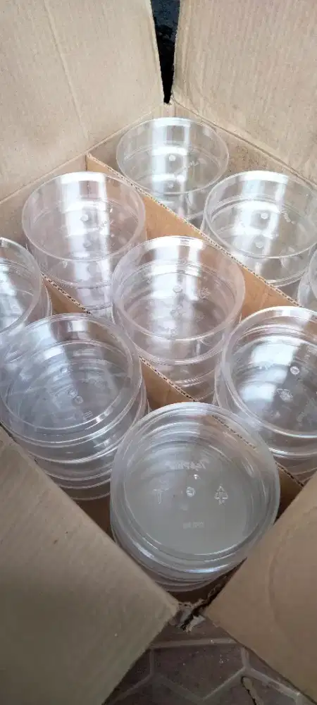 Toples 250 3 lusin