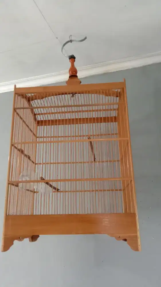 Sangkar burung jati no 2