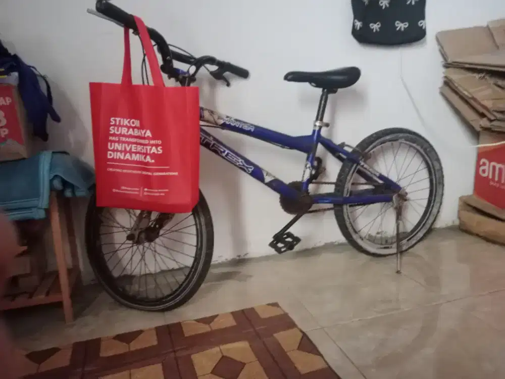 SEPEDA TREX ANAK