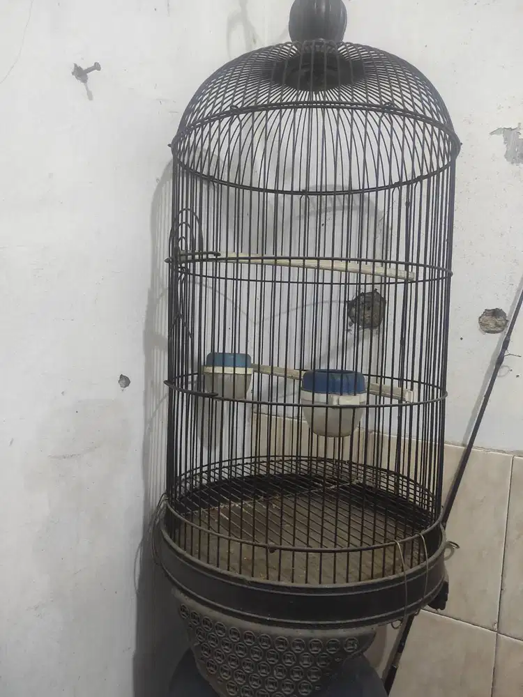 Kandang burung Lovebird