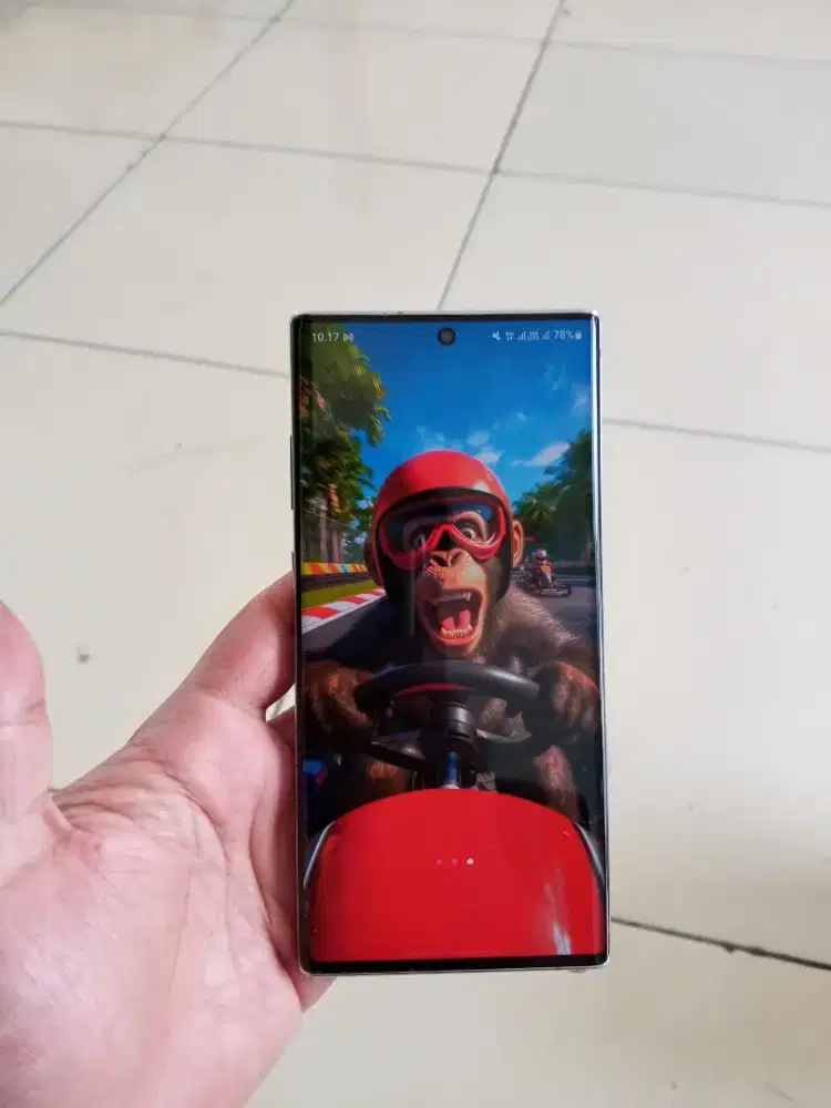 Samsung Note 10 Plus Sein