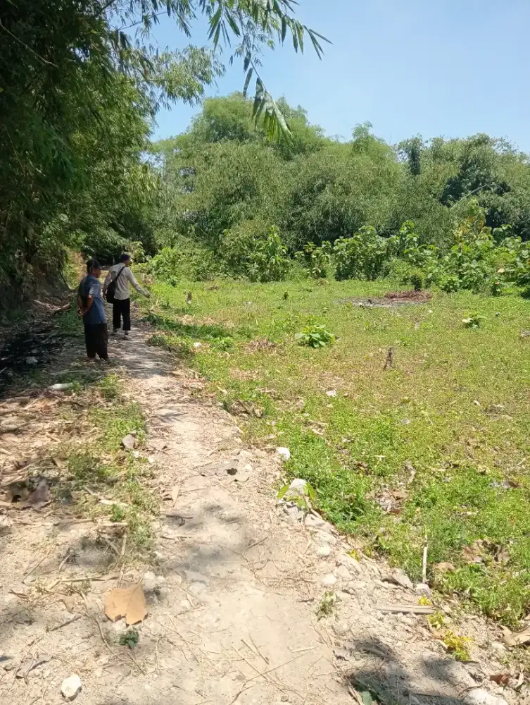 Tanah murah Kaliwedi Gondang