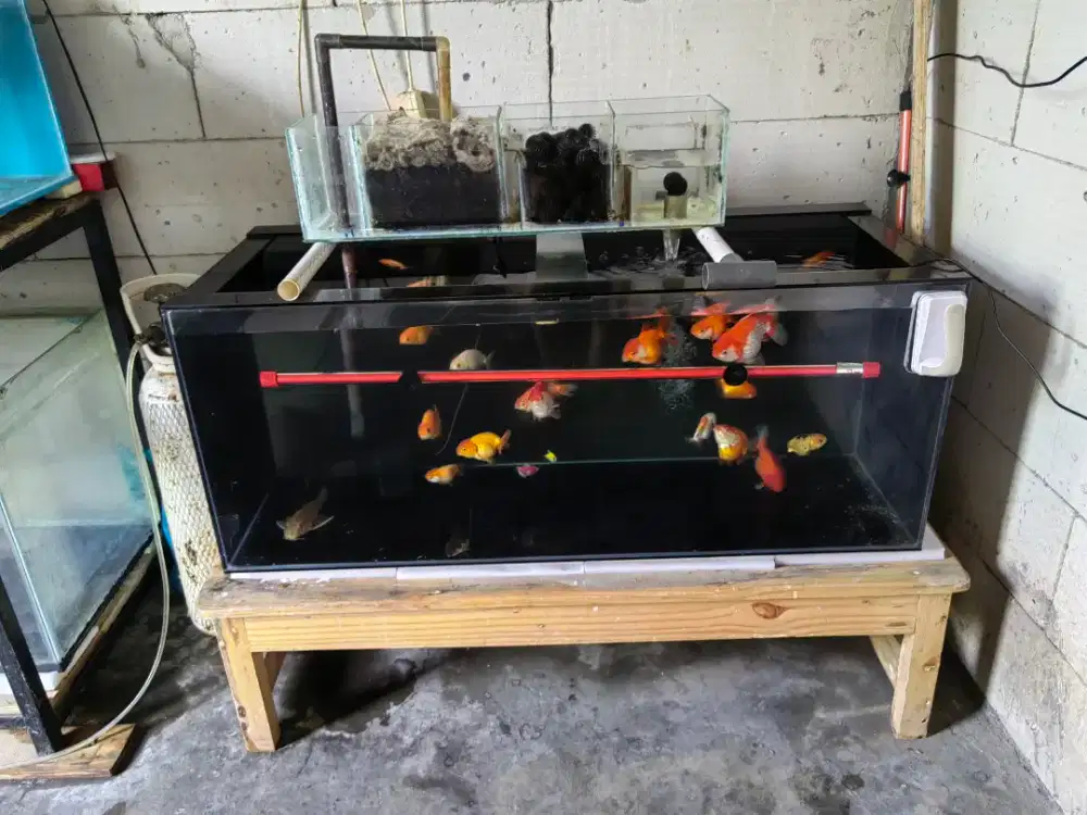 Aquarium Fullset Tinggal Colok