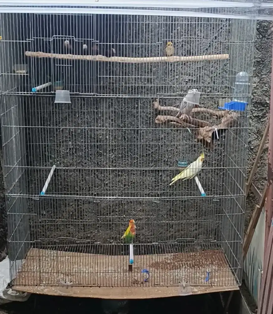 Kandang galvanis P120xL50xT150