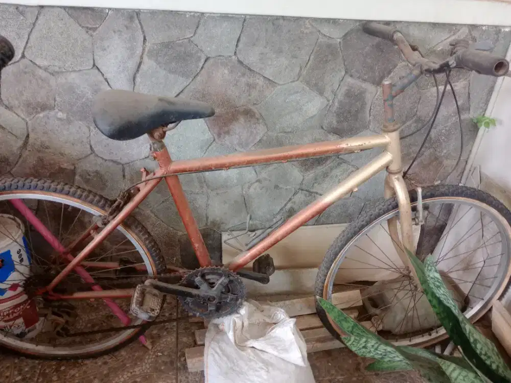 Jual sepeda dewasa