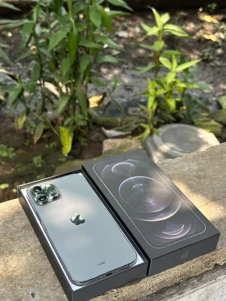 12 promax 512GB IBOX