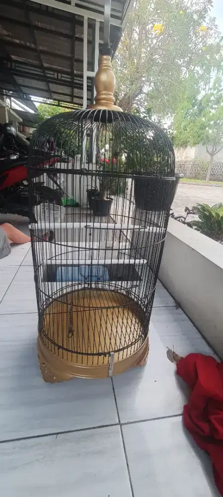 Kandang Lovebird + Kerodong