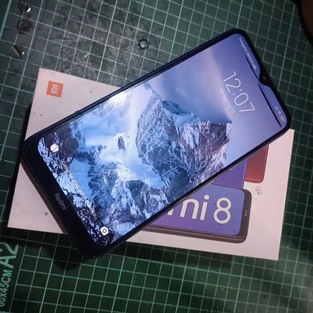 Xiaomi Redmi 8 Fungsi Normal