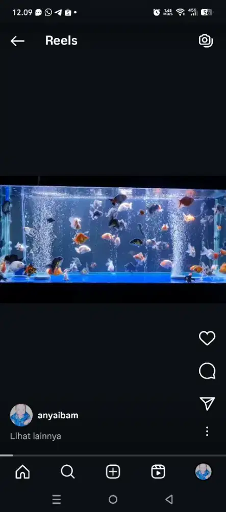 Aquarium bekas full set