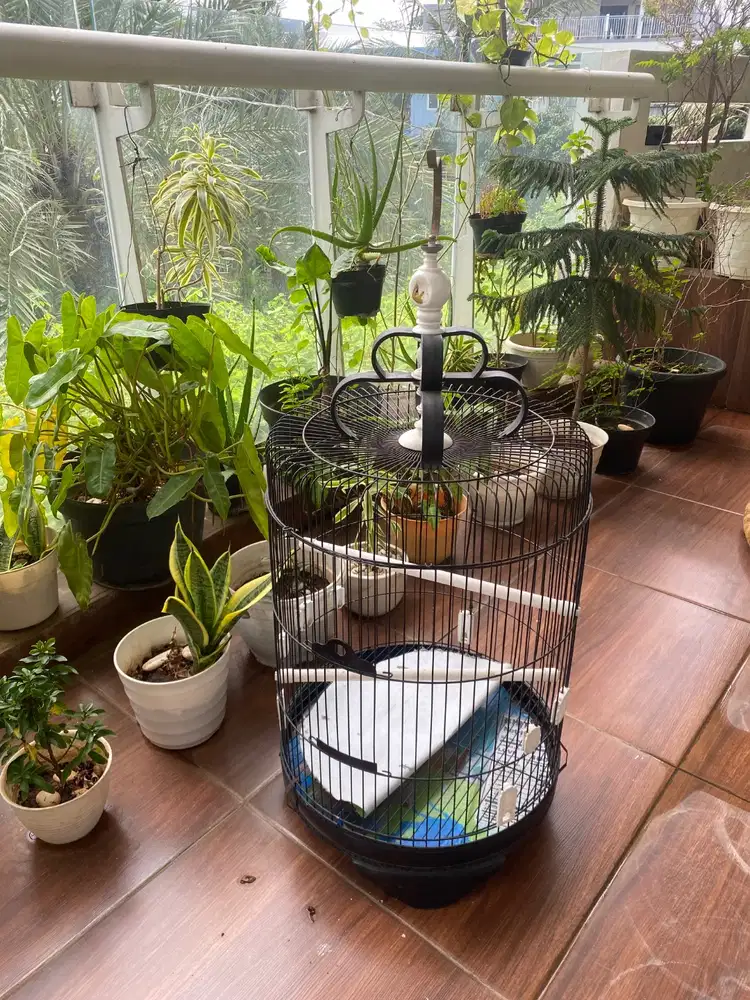 Kandang Burung - kualitas seperti baru