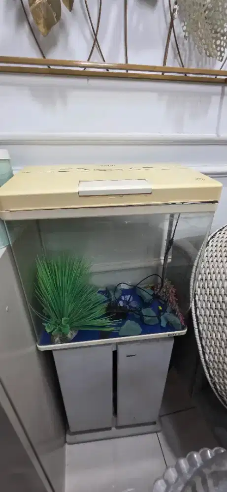 Dijual cepat akuarium