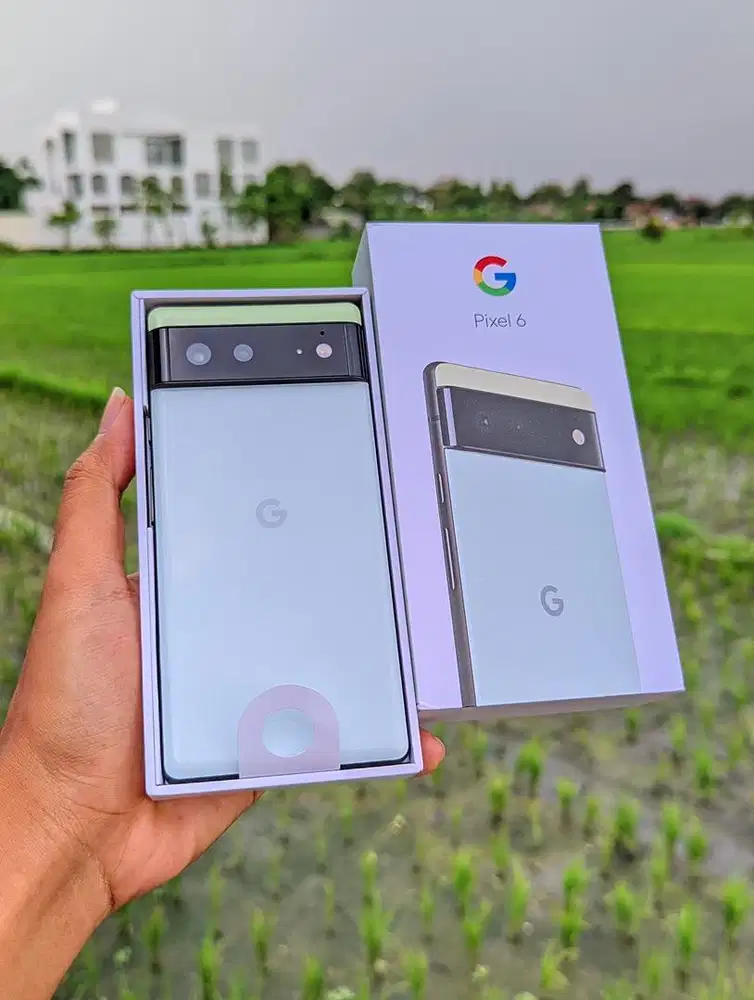 Google Pixel 6 8/128 GB