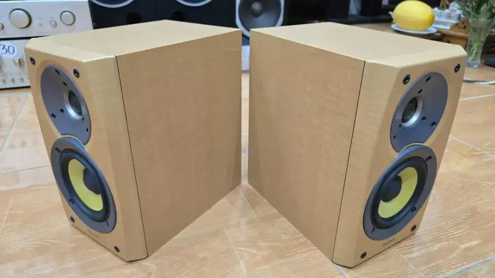 Speaker Pasif Sony SS-CSD1