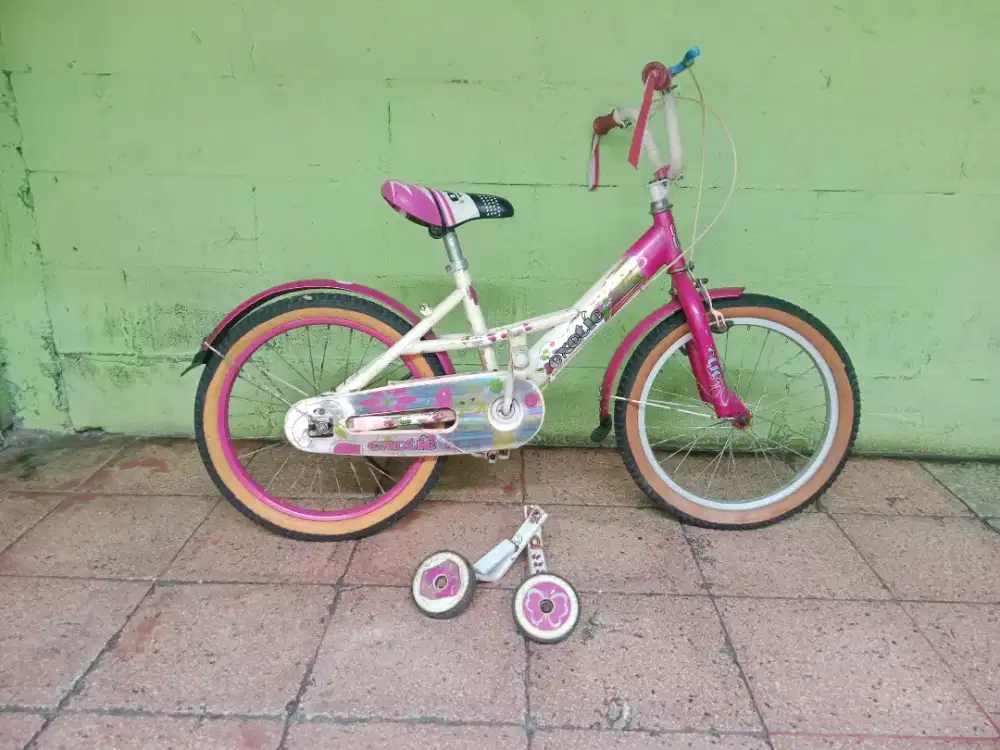 Sepeda anak cwe