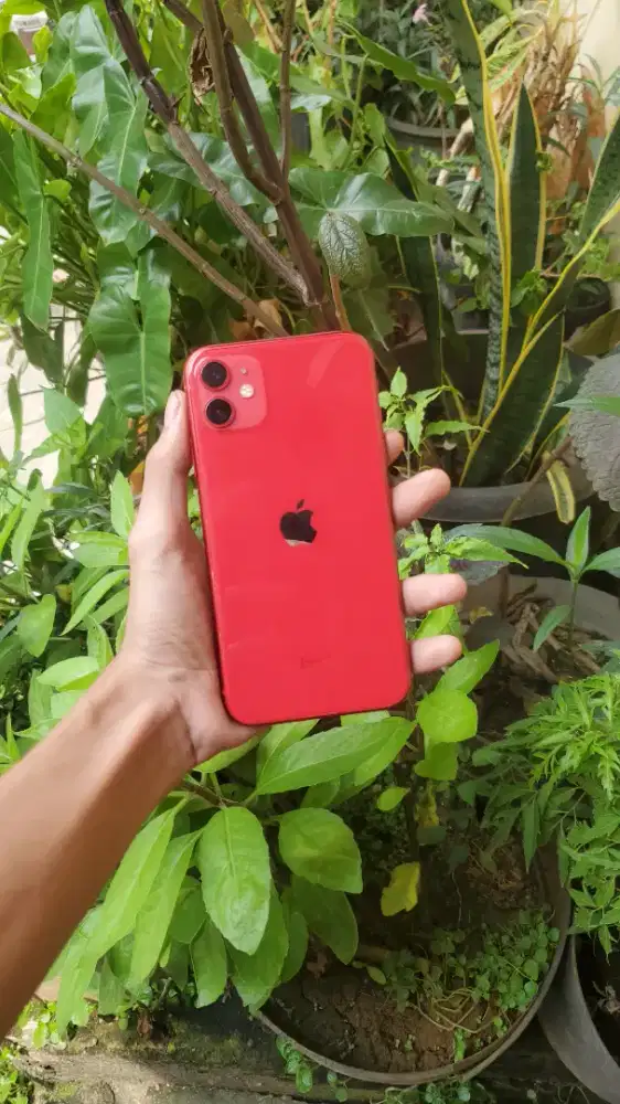 Iphone 11 64 inter resmi beacukai