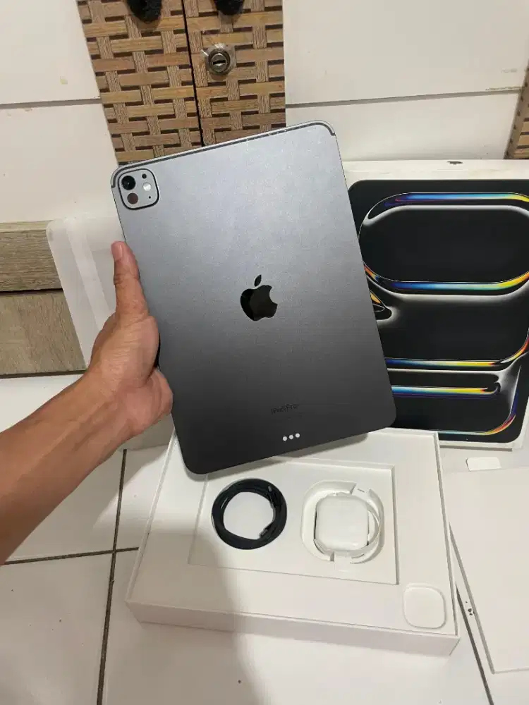 Ipad Pro M4 256gb 11inch Ex Inter