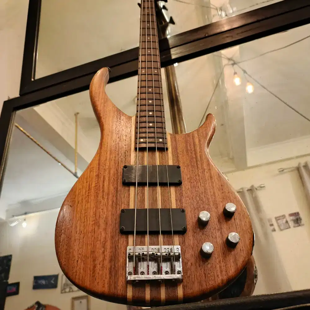 Bass Peavey klasik