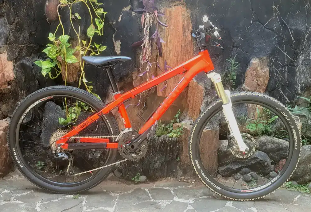 Dirtjump DJ Thrill Wreak 26 3x9 alivio BONUS groupset sensah empire
