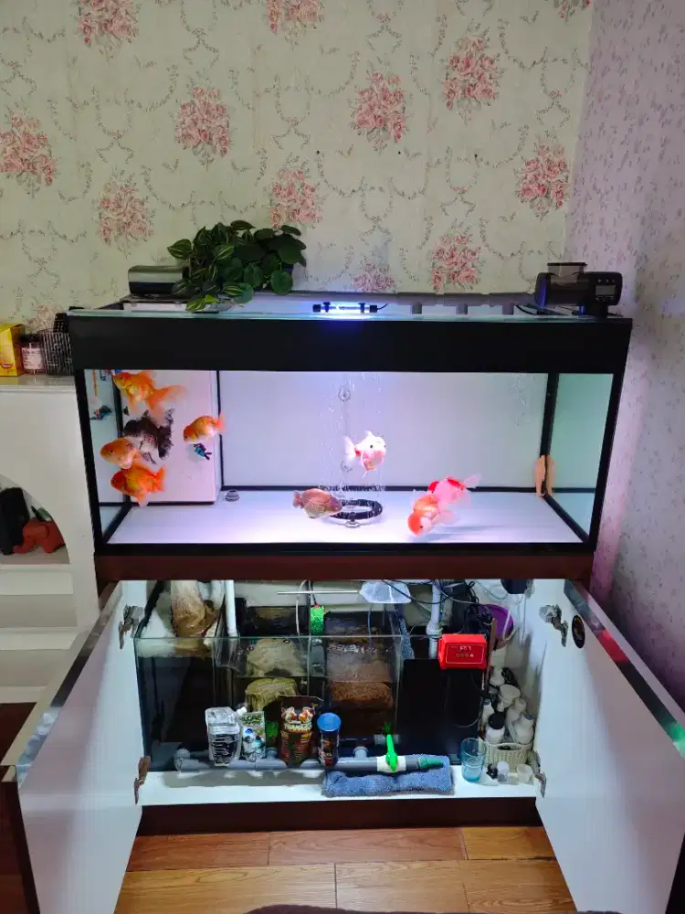 Dijual AQUARIUM + KABINET (SUMP FILTER)