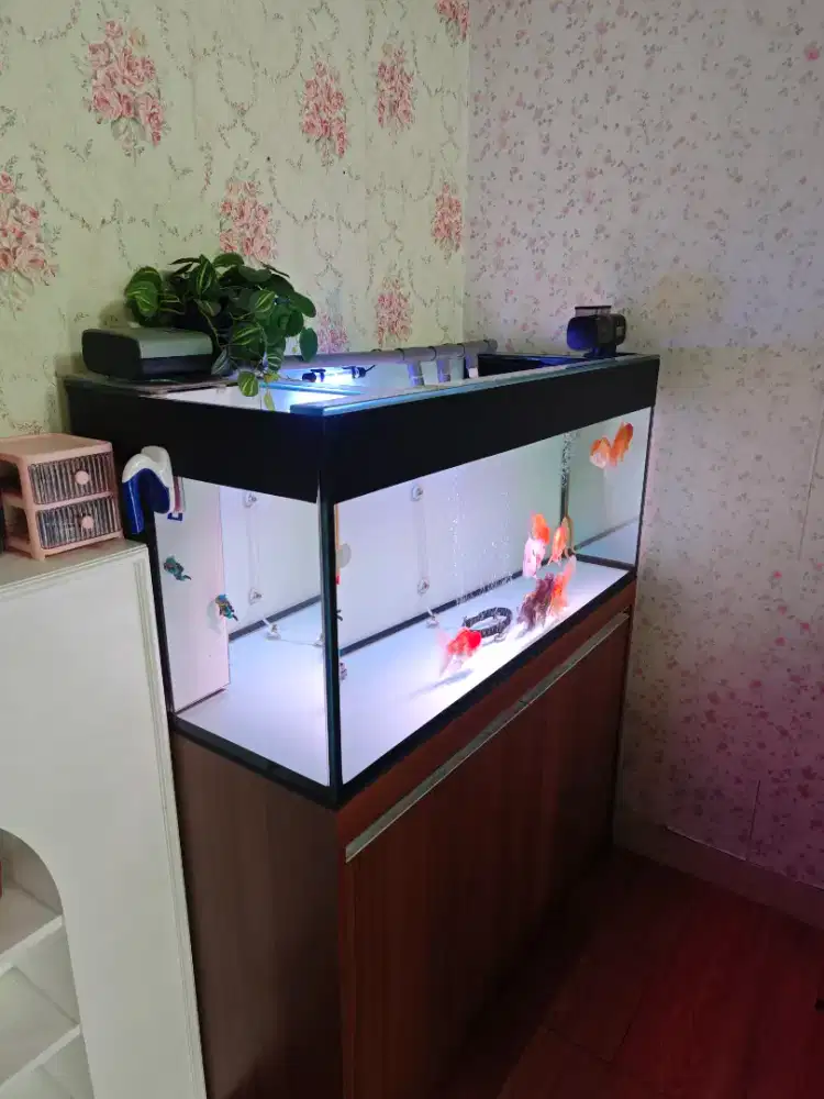 Dijual AQUARIUM + KABINET (SUMP FILTER)