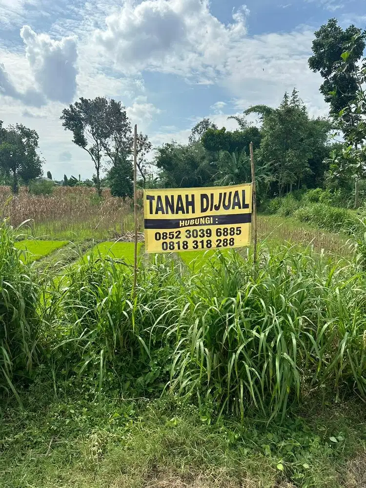 Tanah dijual murah