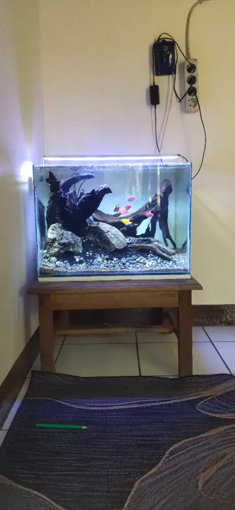 aquarium fullset / aquascape