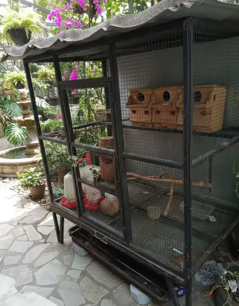 kandang ternak/aviary