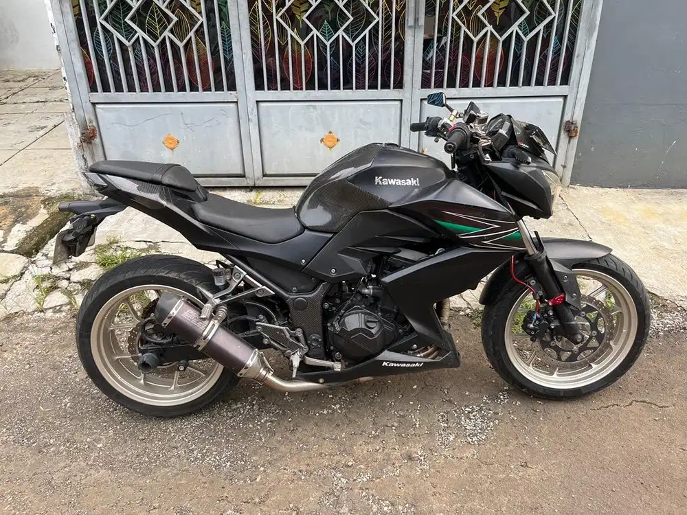 Kawasaki ninja z250 2013
