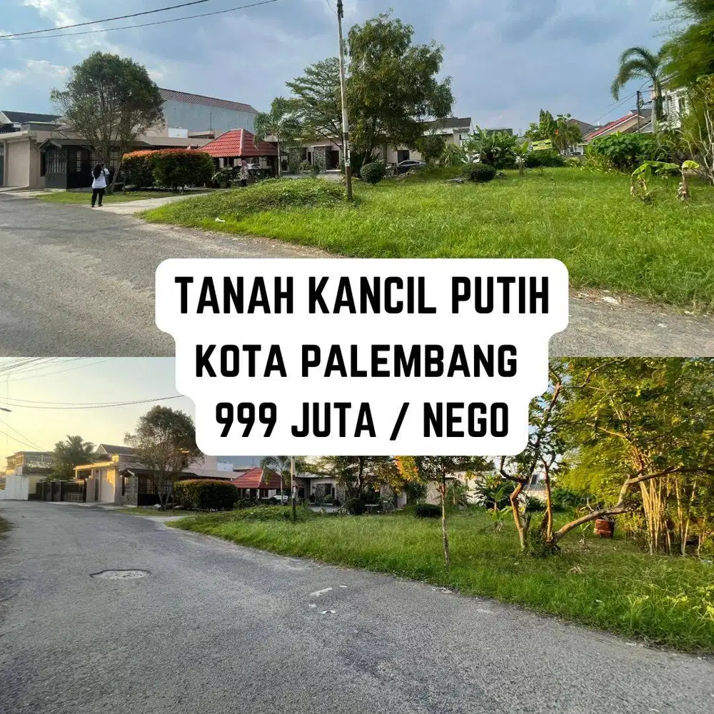 TANAH KANCIL PUTIH BEBAS BANJIR PALEMBANG