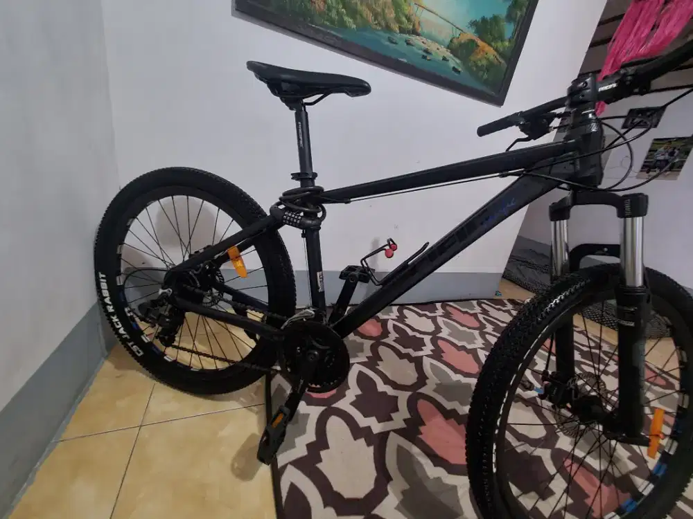 pasific tranzline mx 1.0