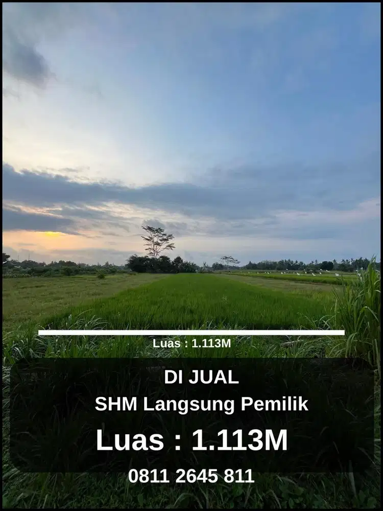 Di Jual SHM Sawah Strategis Pinggir Jalan