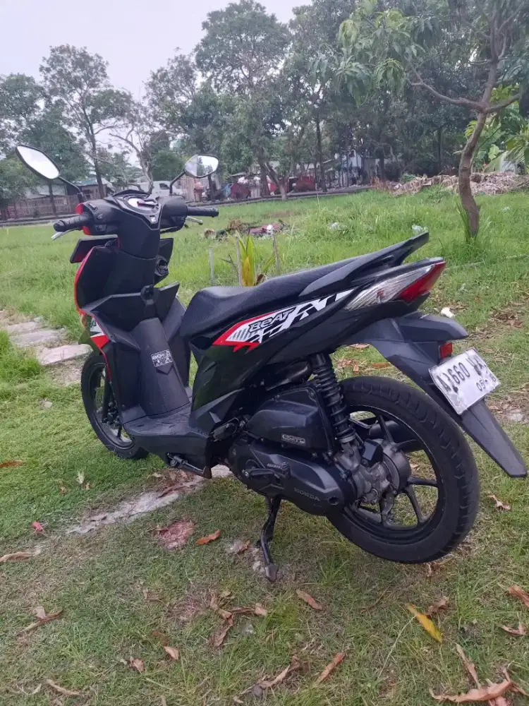 Beat New pajak idup panjng lengkap