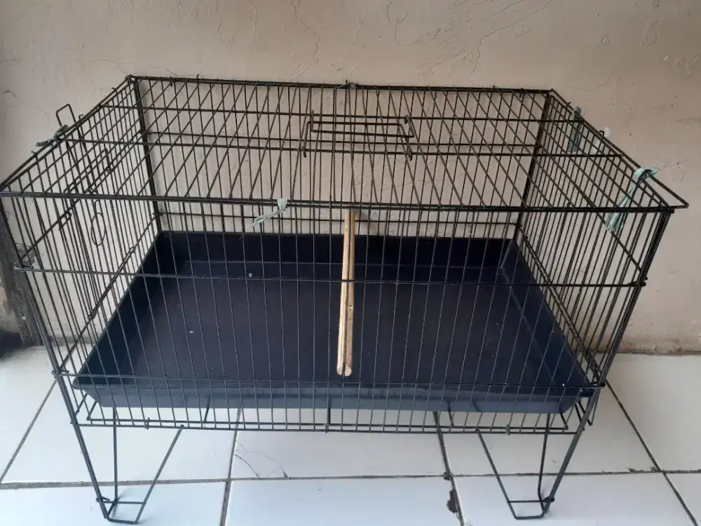 Kramba mandi burung