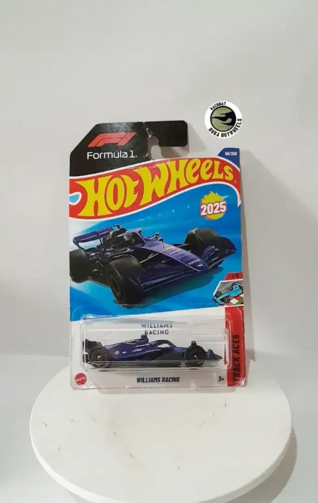 Hot Wheels Williams Racing Formula 1 Error Diecast RBH