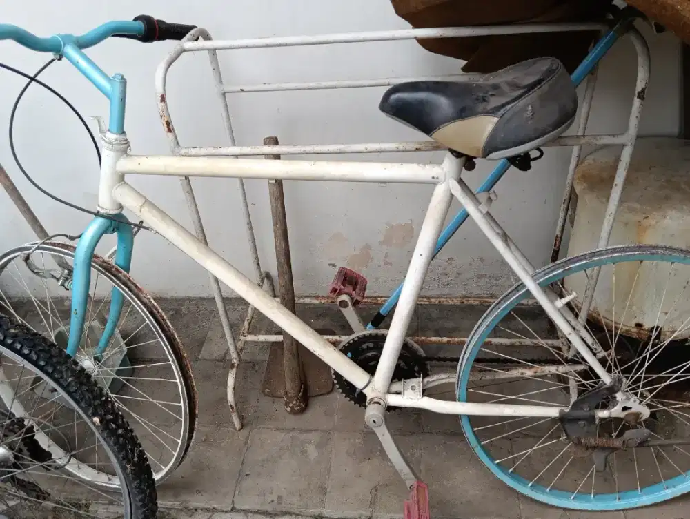 Sepeda federal Fixie Bekas