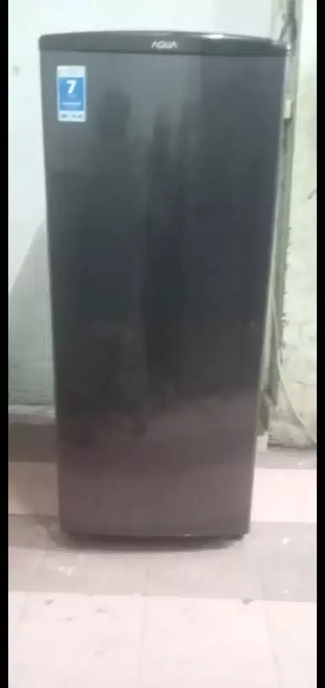 Friser rak jumboo orian mrk aquu