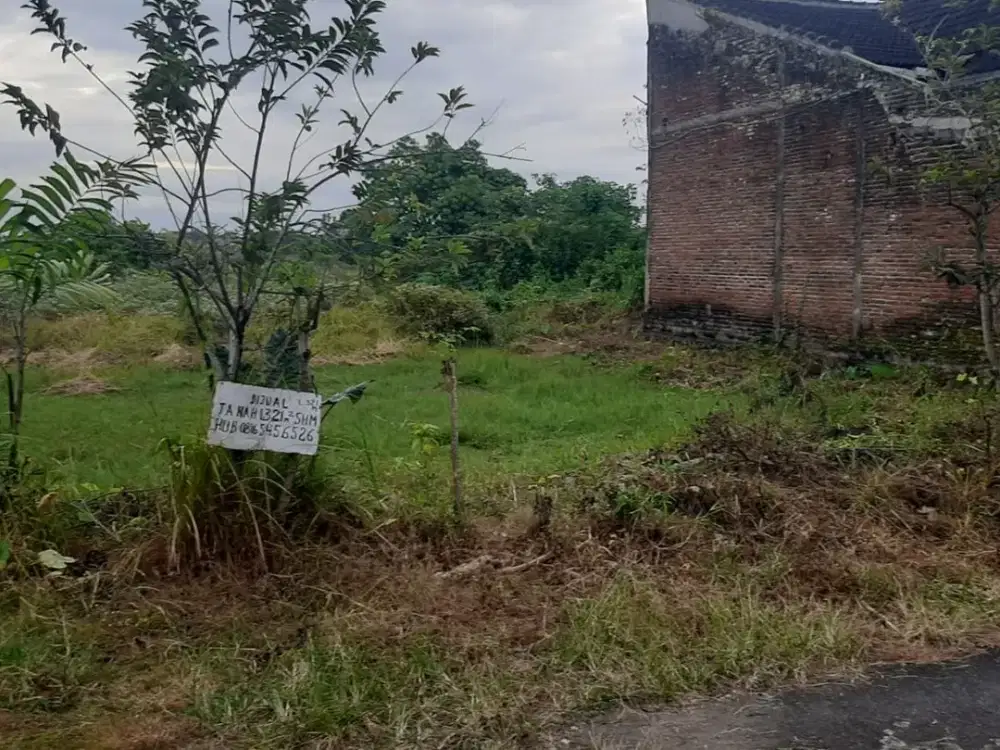 Lahan usaha luas 321 m2 harga 3,5 juta permeter 300 meter dari SMPN 6 Jember