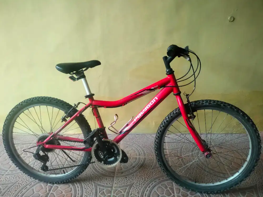 Jual sepeda Polygon Cyclon 100