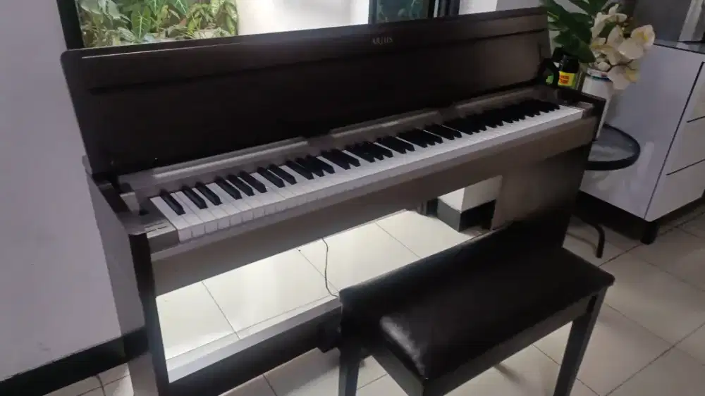Piano Arius S31 Mulus