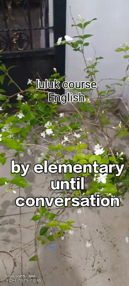 Luluk's English course